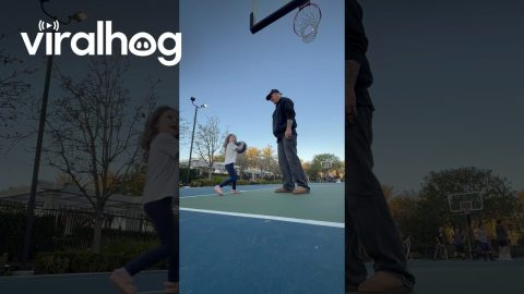 Dad Blocks Daughter's Theme Park Basketball Shot || ViralHog