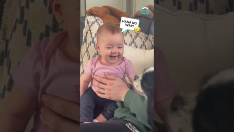 Barking Dog Makes Baby Laugh || ViralHog