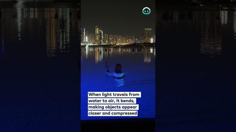 Hilarious Pool Optical Effect || ViralHog
