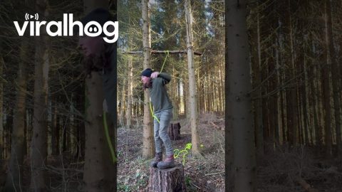 Man Swings Through Trees On Thrown Knot || ViralHog