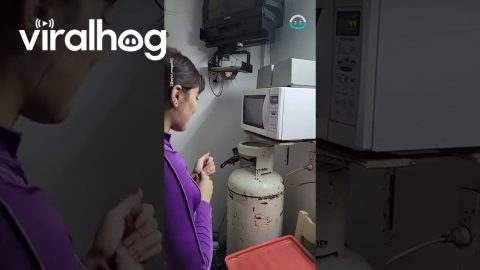 Microwave Sounds Like A Train || ViralHog