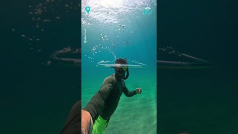 Snorkeler Swims Through Bubble Ring || ViralHog