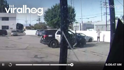 Police Officer Falls Out of Patrol Vehicle While Trying to Arrest Suspect || ViralHog