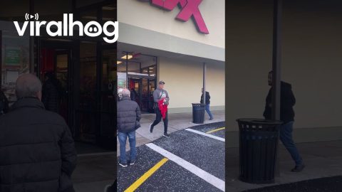 Bird Of Prey Removed From Local Retail Store || ViralHog