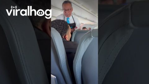 Flight Diverted Because Passenger Refused to Give Up Lighter || ViralHog