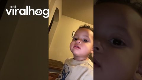 Toddler Makes Sound Like His Mother's Snoring || ViralHog