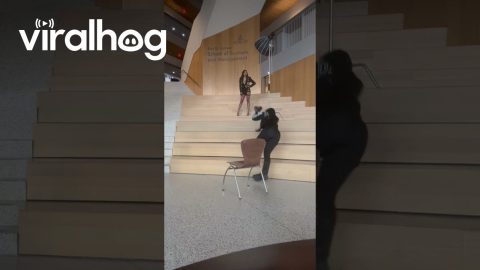 Portrait Photographer Falls From Chair || ViralHog