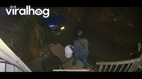 Falling Tree Narrowly Misses Woman in Rockaway || ViralHog