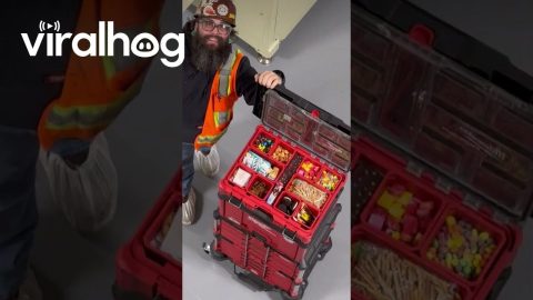 Construction Worker Hides Snacks In Tool Box || ViralHog