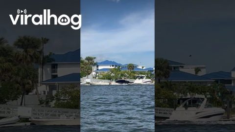 Unmanned Boat Spins Out of Control || ViralHog