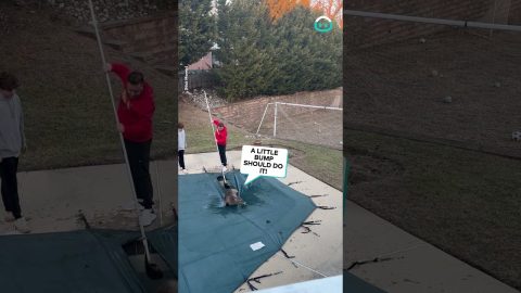 Deer Rescued From Pool Cover || ViralHog