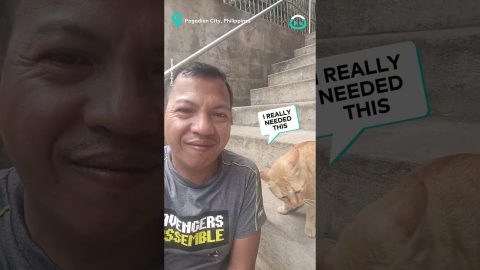Cat Converses With Meowing Man || ViralHog