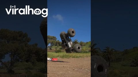 RC Flips || ViralHog