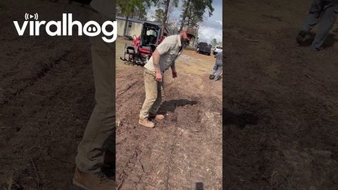 Man Jumps On Nature's Waterbed || ViralHog
