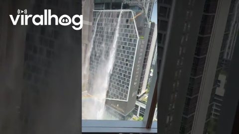 Office Building Shakes And Water Spills During Bangkok Earthquake || ViralHog