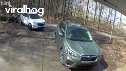 Reversing Car Backs Into Parked Motorcycle || ViralHog