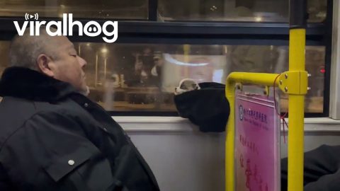 Man Stores Sleeping Puppy in His Hat || ViralHog