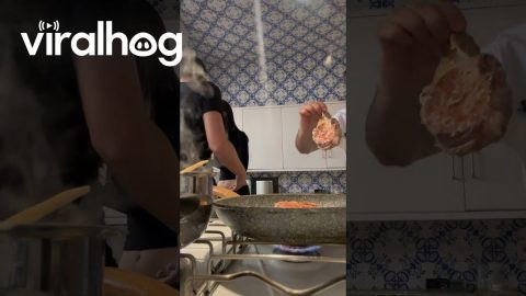 Couple Drops Food While Filming Cooking Video || ViralHog