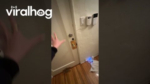 Old Door Has Cool Floor Lock || ViralHog