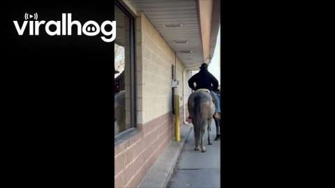 Cowboys Order Drive-Thru || ViralHog