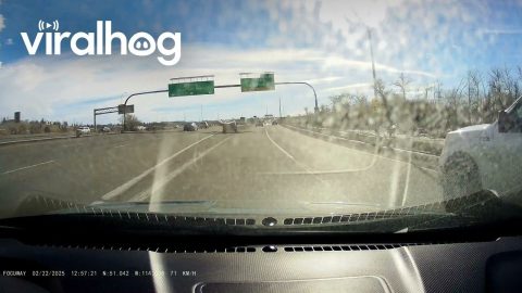 Mattress Nearly Flies Off Vehicle Into Traffic || ViralHog