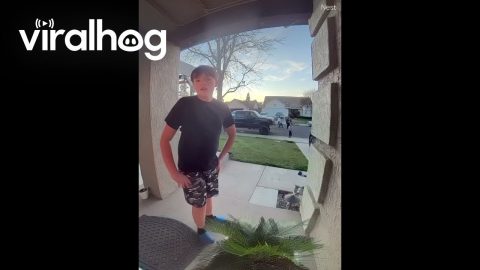 Young Boy Makes Wholesome Apology to Doorbell Camera || ViralHog
