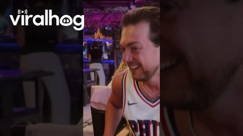 Swarm of Moths Emerge From Tree Trunk in Restaurant || ViralHog