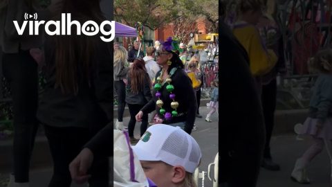 Elder Mardi Gras Reveler Does Cupid Shuffle || ViralHog