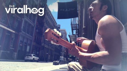 Store Manager Encourages Street Musician || ViralHog