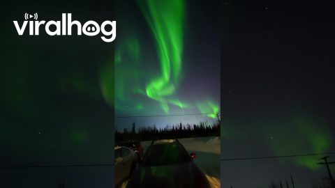 The Northern Lights Filmed From My Driveway || ViralHog