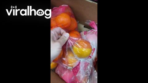 Supermarket Trickery || ViralHog