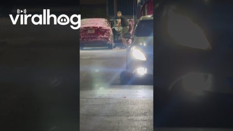 Man Washes Car Interior With Hose || ViralHog