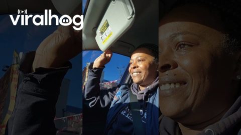 Too Short For The Sun Visor || ViralHog