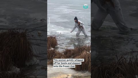 Woman Rescues Dog From Freezing River || ViralHog