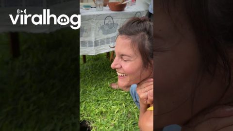 Deep Hole Appears In The Middle Of Family Lunch || ViralHog