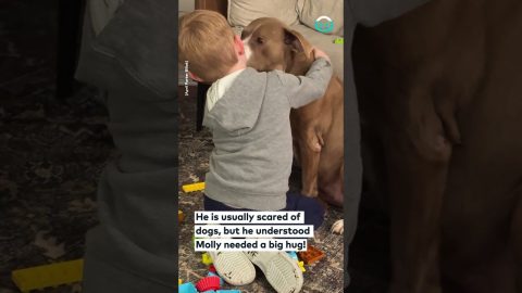 Sweet Grandson Comforts Scared New Rescue Dog || ViralHog
