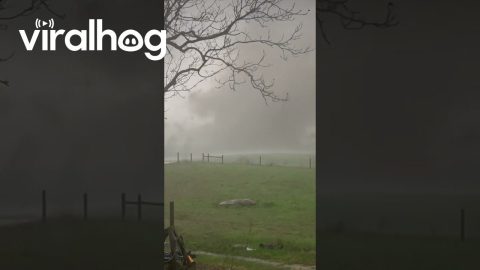 Tornado Blows Away Chicken Farm || ViralHog