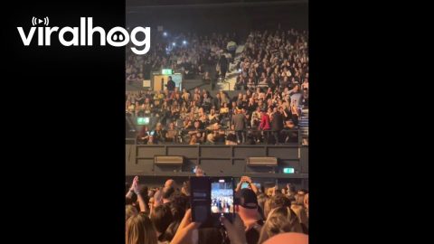 Man Entertains Stadium With Flashlight Game || ViralHog