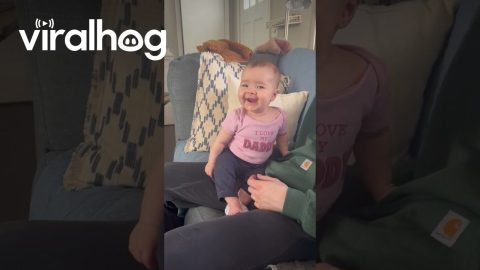 Baby Laughs At Barking Dog || ViralHog