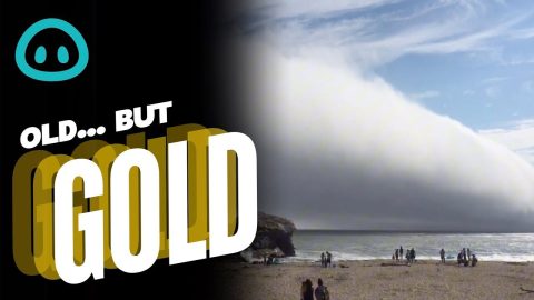 Huge Fog Cloud Over Beach || ViralHog