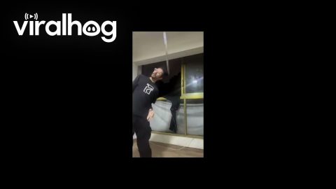 Hula Hoop Falls Out Building Window || ViralHog