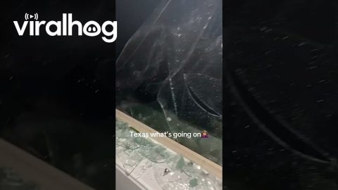 Golf Ball-Sized Hail Breaks Window and Cracks Windshield || ViralHog