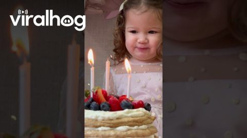 Making A Birthday Wish Has Never Been So Hard || ViralHog