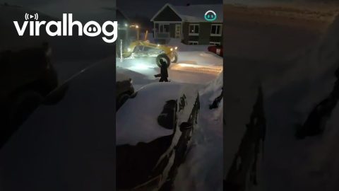 Man Clears Driveway, Snowplow Covers It Again || ViralHog