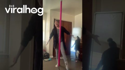 Pole Dancing With My Cat || ViralHog