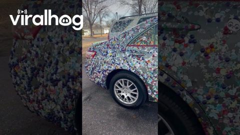 Cars Completely Covered In Stickers || ViralHog