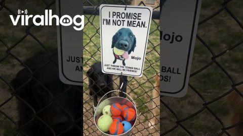 New Sign, New Friends || ViralHog