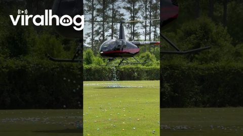 Thousands of Easter Eggs Dropped From Helicopter || ViralHog