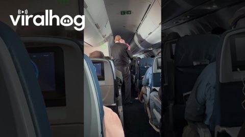 Flight Attendant Rocks Passenger's Baby Mid-Flight || ViralHog