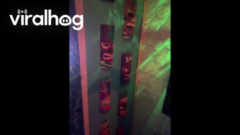Secret Basement Tiki Bar Man Cave || ViralHog